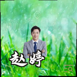 赵婷